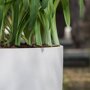 Pottery Pots Refined Ben ronde plantenbak middelhoog wit detail